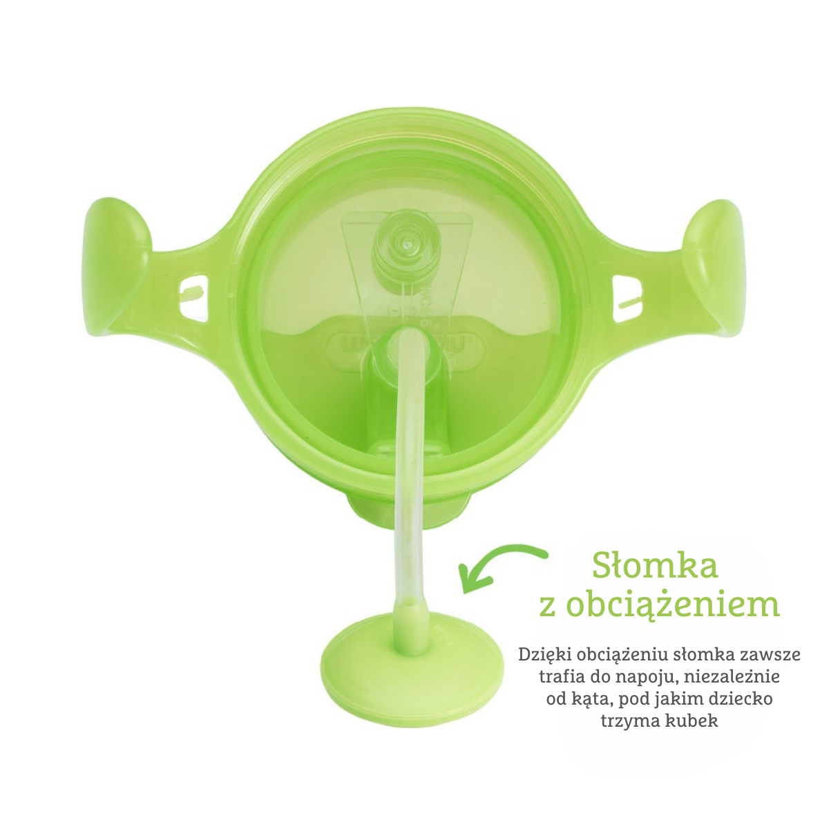 1d292ca62dbec3998a8839dfe52c4e42