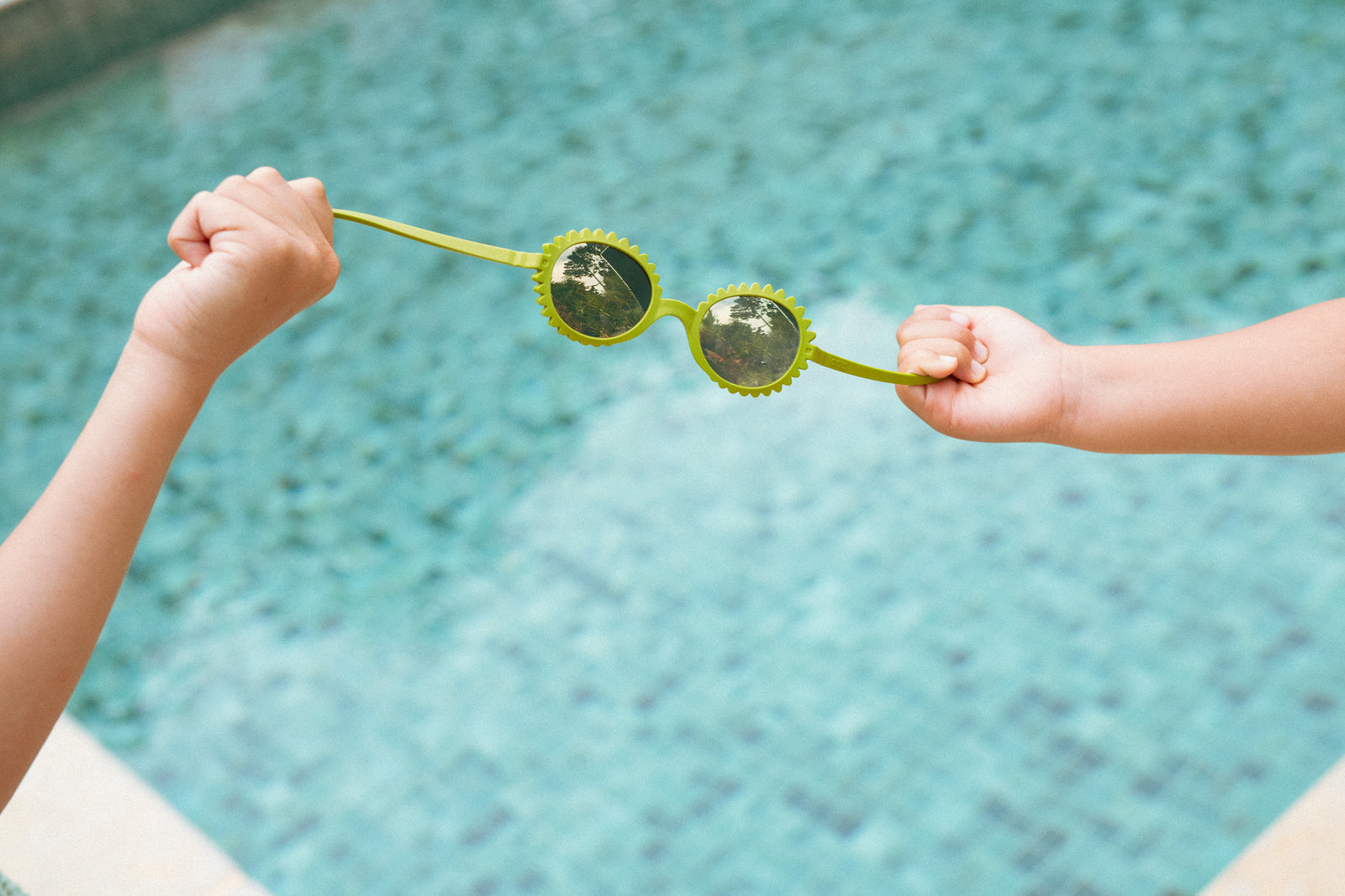 209f9292e81d44d77139c3a2cbb6fc7a