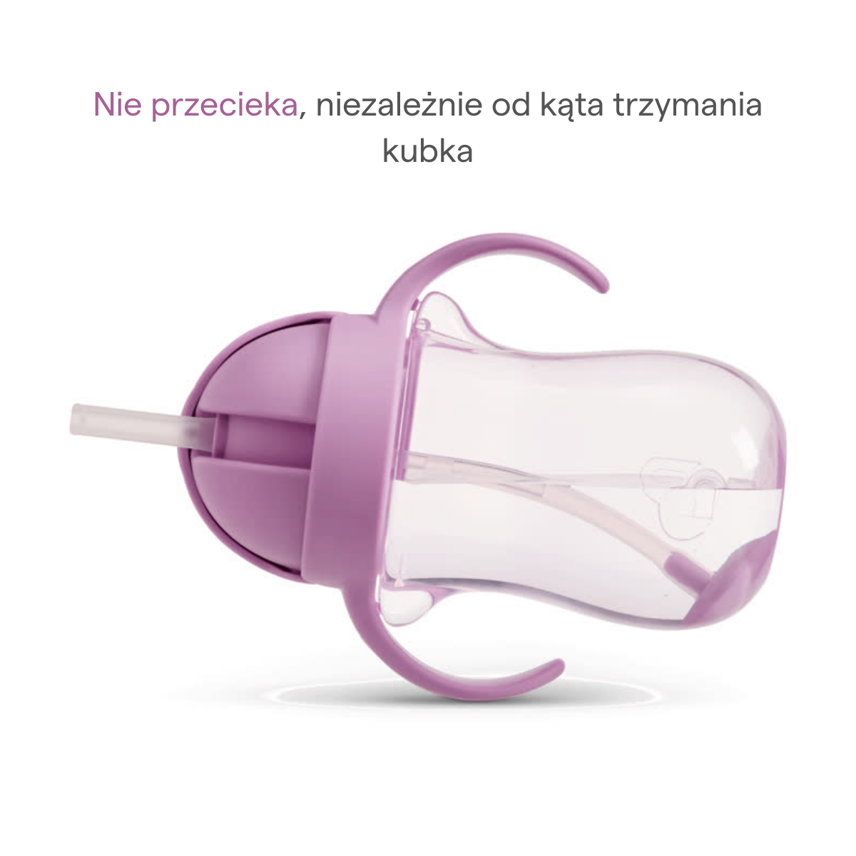 b278de1d787b750f4567d6e5fb63ccc8